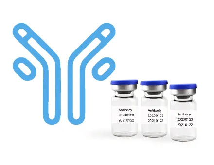 Anti-Influenza A virus, Flu A NP monoclonal Antibody