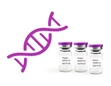 Carnitine acetyltransferase, recombinant from E Coli